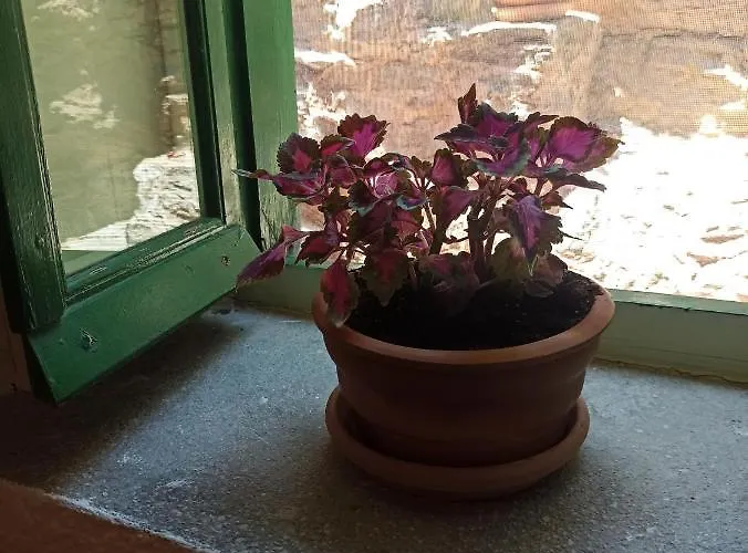 Hidesign Athens Traditional Stone House In Kea's Port Feriehus *